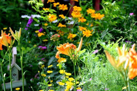 Shakespearean Gardens